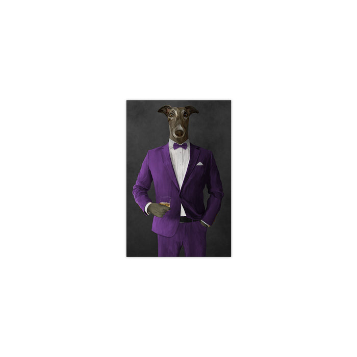 Greyhound Drinking Whiskey Wall Art - Purple Suit