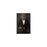 Lion Drinking Martini Wall Art - Brown Suit
