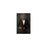 Lion Drinking Red Wine Wall Art - Brown Suit